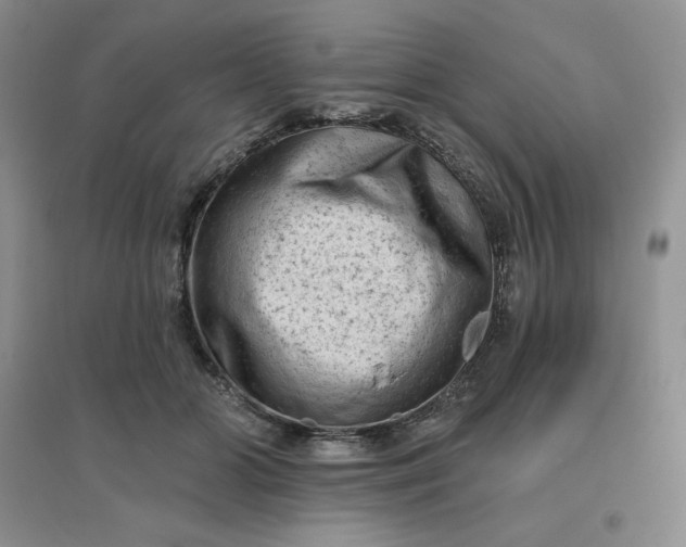 X0000096410510200802071657