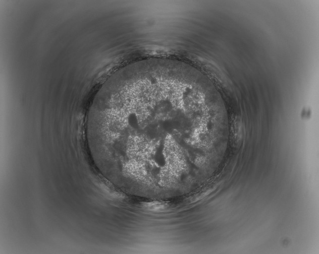 X0000096410511200802071657