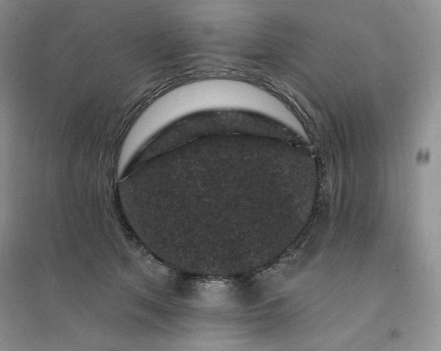 X0000096410513200802071657