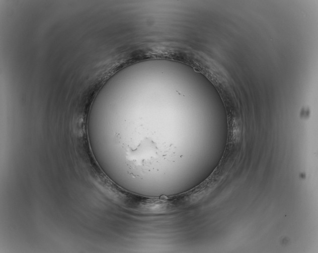 X0000096410514200802071657