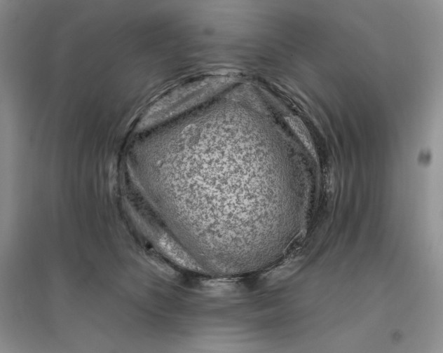 X0000096410516200802071657