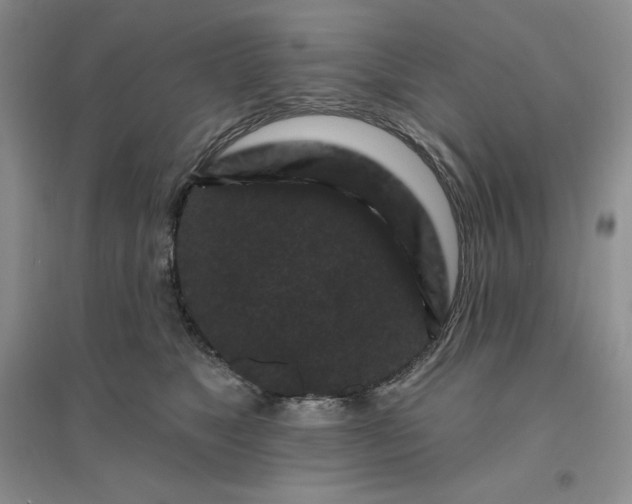 X0000096410517200802071657