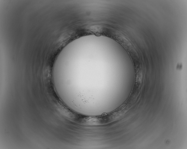 X0000096410518200802071657