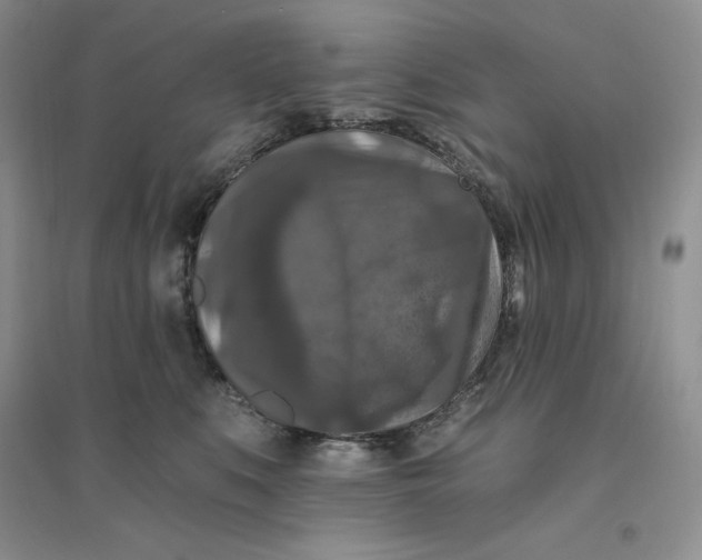 X0000096410519200802071657