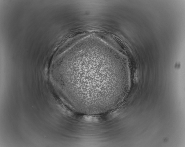 X0000096410520200802071657