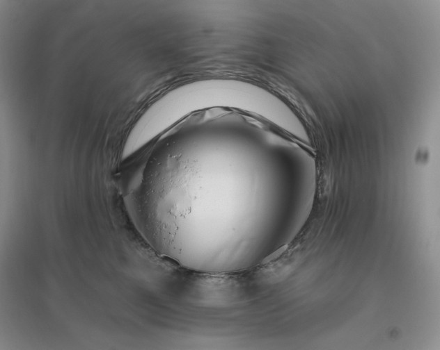 X0000096410521200802071657