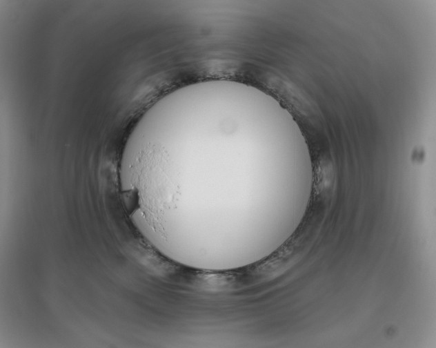 X0000096410522200802071657