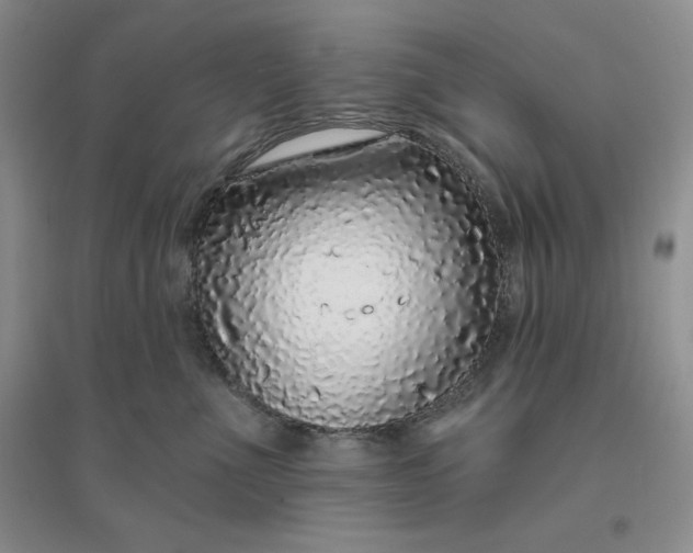 X0000096410523200802071657