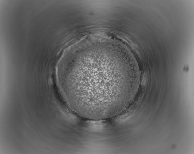 X0000096410524200802071657