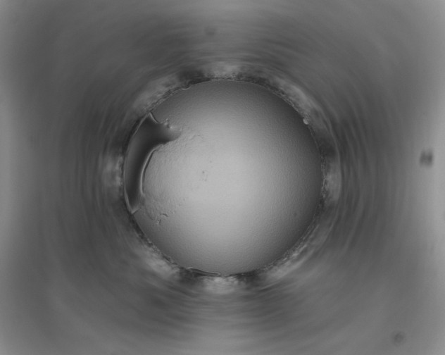 X0000096410525200802071657