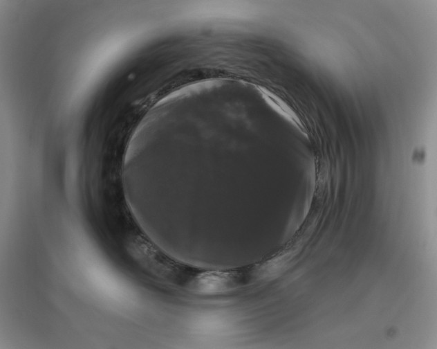 X0000096410526200802071657