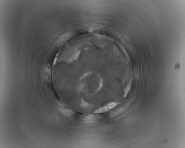 X0000096410527200802071657