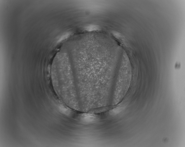 X0000096410528200802071657