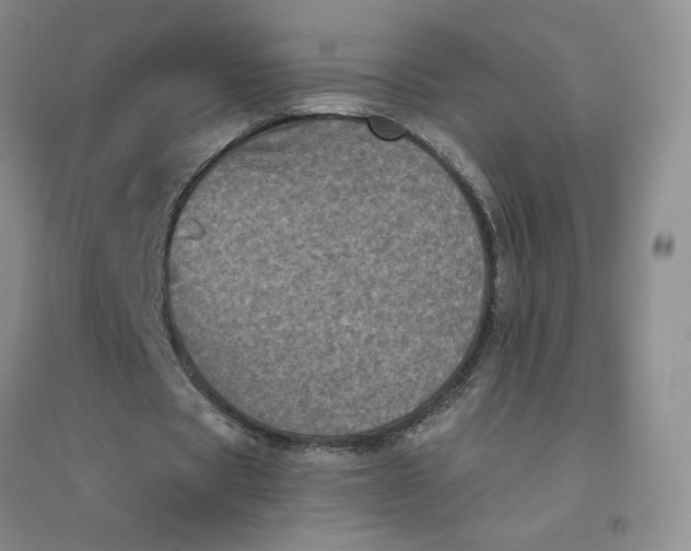 X0000096410529200802071656