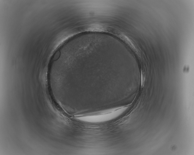 X0000096410531200802071656