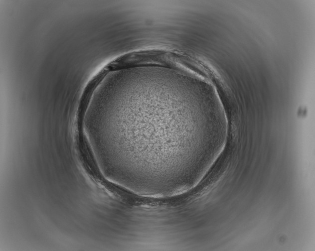 X0000096410532200802071656