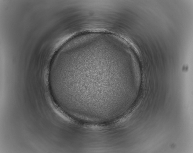 X0000096410533200802071656