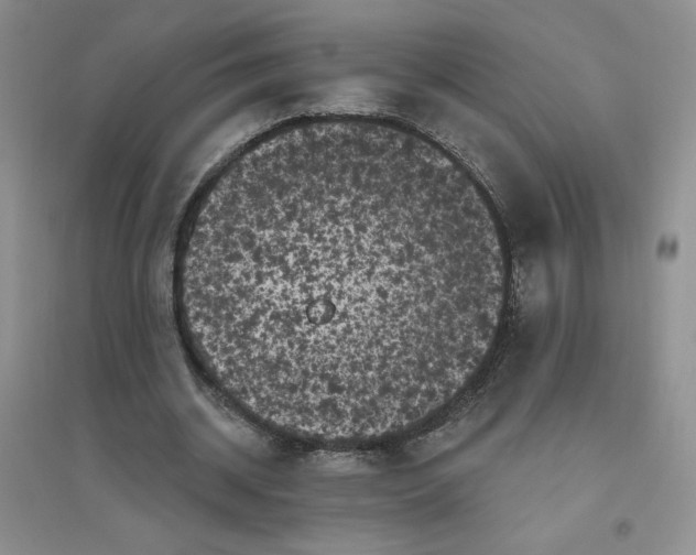 X0000096410534200802071656