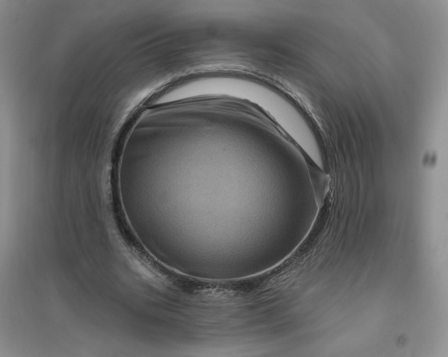 X0000096410535200802071656