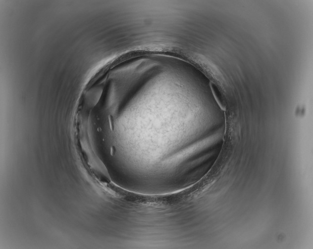 X0000096410536200802071656