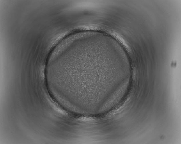 X0000096410537200802071657