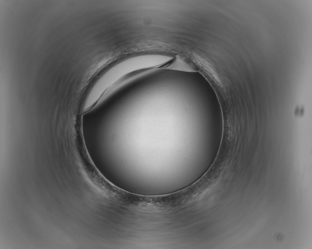 X0000096410538200802071657