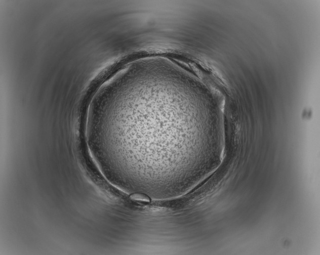 X0000096410539200802071657