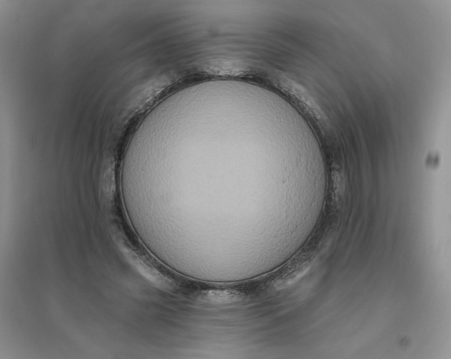 X0000096410541200802071657