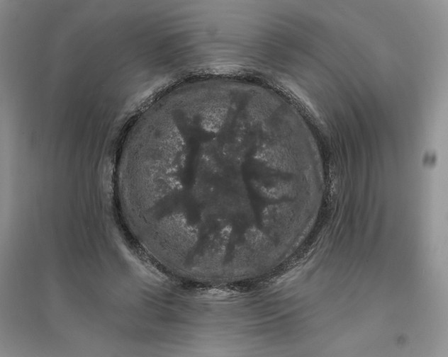 X0000096410542200802071657