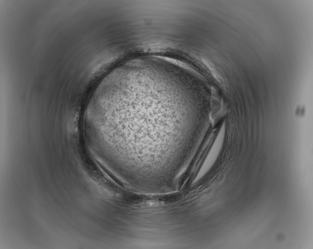 X0000096410543200802071657