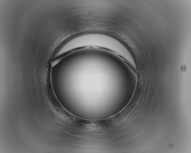 X0000096410544200802071657