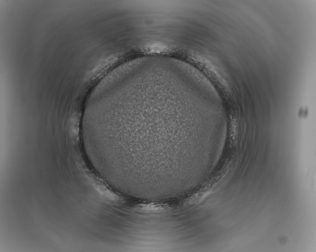 X0000096410545200802071657