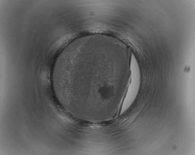 X0000096410547200802071657