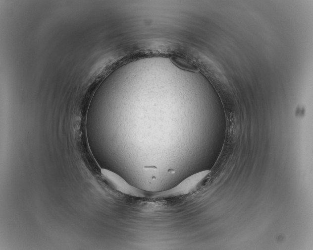 X0000096410548200802071657