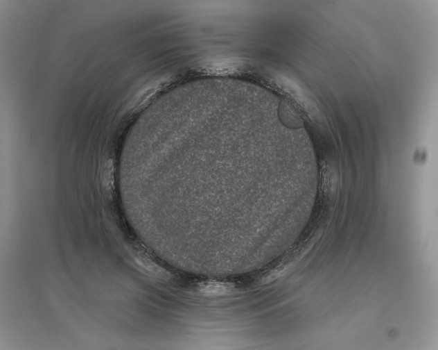 X0000096410549200802071657