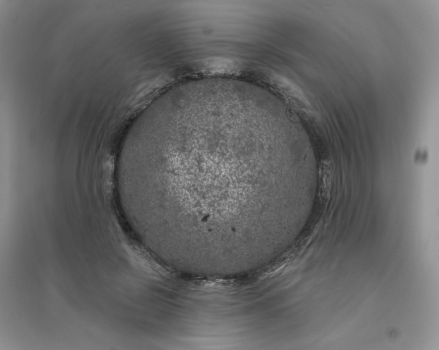 X0000096410550200802071657
