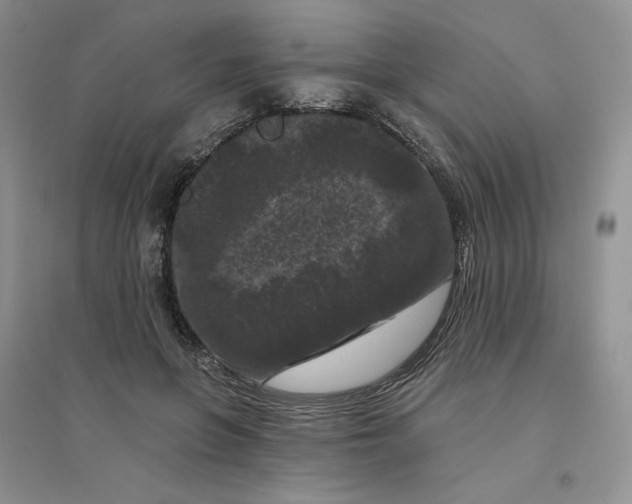 X0000096410551200802071657