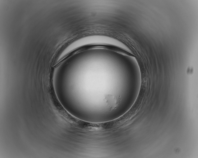 X0000096410552200802071657