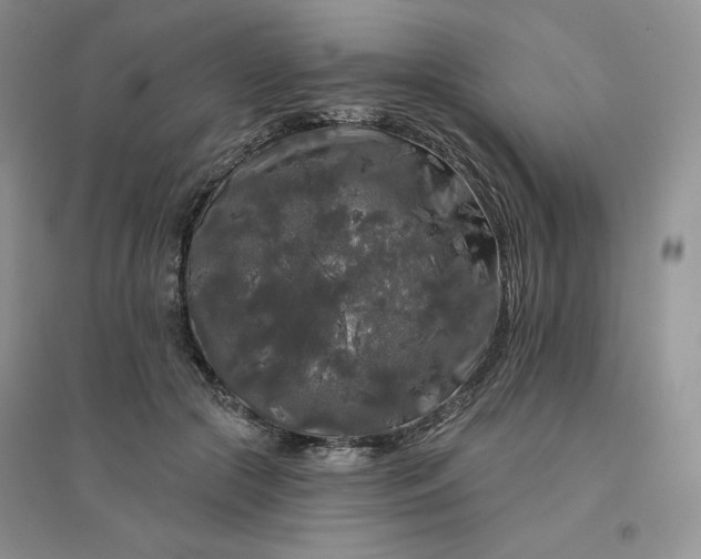 X0000096410553200802071657