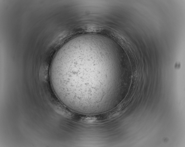 X0000096410554200802071657