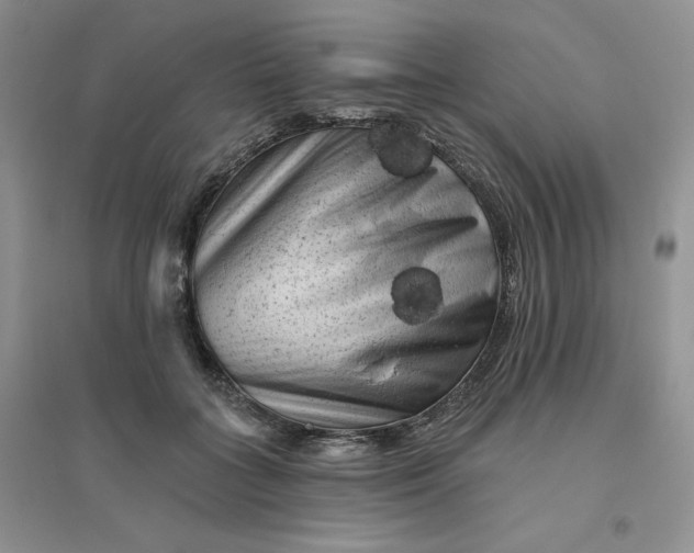 X0000096410555200802071657