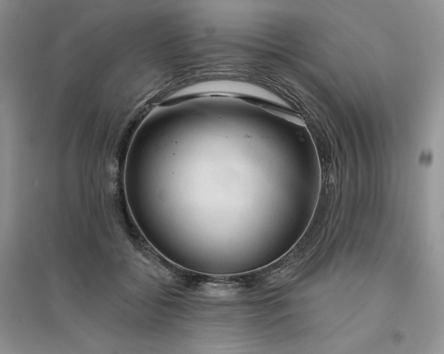 X0000096410556200802071657