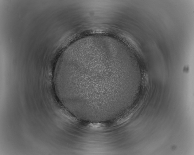 X0000096410557200802071657