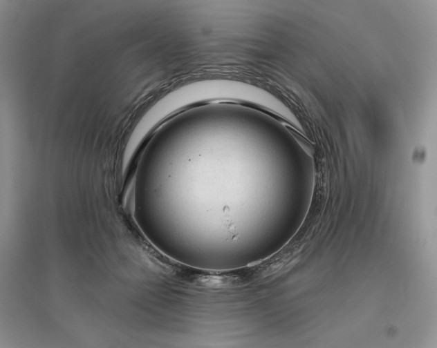 X0000096410558200802071657