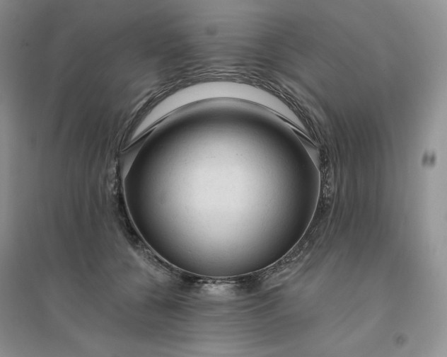 X0000096410560200802071657