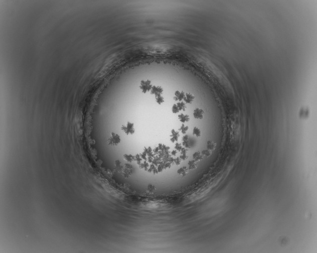 X0000096410561200802071657