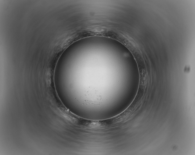 X0000096410562200802071657