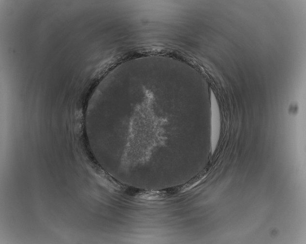 X0000096410563200802071657