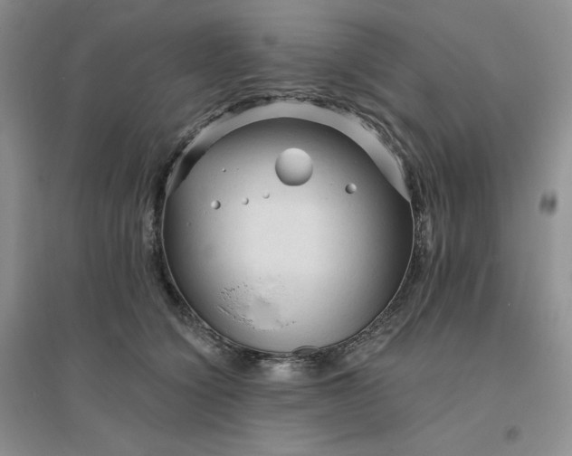 X0000096410564200802071657