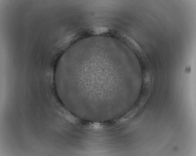 X0000096410565200802071657